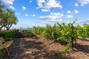 18264 Avenida Manantial, Rancho Santa Fe, CA 92067 - Photo 29