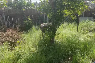 6197 Daisy Pl, San Diego, CA 92114 - Photo 7