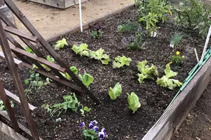 5191 Mt Alifan Dr, San Diego, CA 92111 - Photo 41