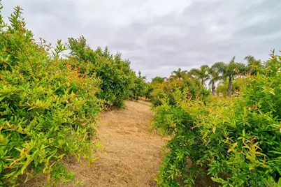  5320 Olive Hill Trl, Bonsall, CA 92003 - Photo 57