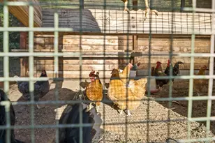 16951 Old Coach Rd, Poway, CA 92064 - Photo 67