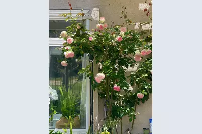  5135 Caminito Exquisito, San Diego, CA 92130 - Photo 35