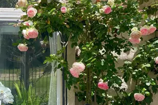 5135 Caminito Exquisito, San Diego, CA 92130 - Photo 35