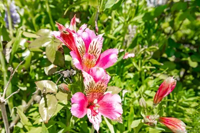  5177 Loma Verde, Oceanside, CA 92056 - Photo 21