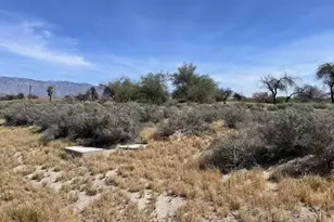 2903 & 2907 Foursome Dr, Borrego Springs, CA 92004 - Photo 1