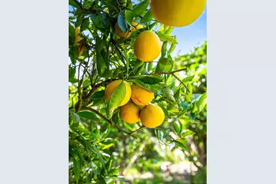  2403 Shamrock, San Diego, CA 92105 - Photo 29