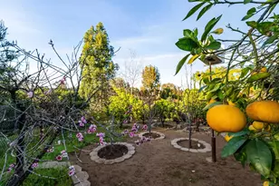 352 Calle Bonita, Escondido, CA 92029 - Photo 21