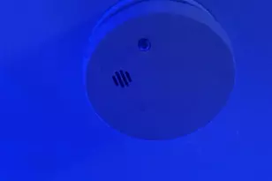 800 W 99th St, Los Angeles, CA 90044 - Photo 45