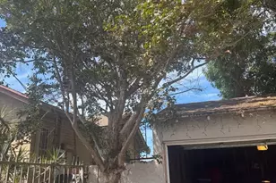 800 W 99th St, Los Angeles, CA 90044 - Photo 25