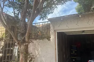 800 W 99th St, Los Angeles, CA 90044 - Photo 25