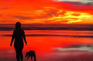 948 Emma, Cardiff by the Sea, CA 92007 - Photo 29