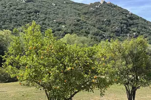 1394 Peutz Valley Rd, Alpine, CA 91901 - Photo 71