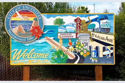  674 Caylpso Pl, Encinitas, CA 92024 - Photo 45