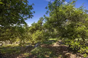 1820 Grove Rd, El Cajon, CA 92020 - Photo 47