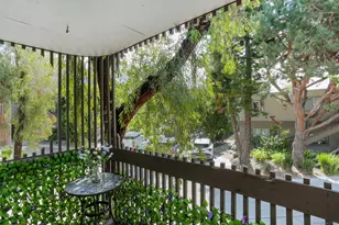 155 Rosebay Dr, Encinitas, CA 92024 - Photo 15