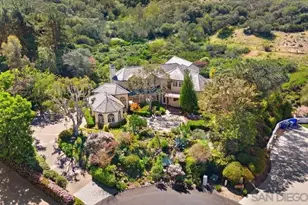 14104 Dalia Dr, Rancho Santa Fe, CA 92067 - Photo 1