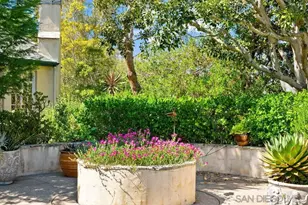 14104 Dalia Dr, Rancho Santa Fe, CA 92067 - Photo 47