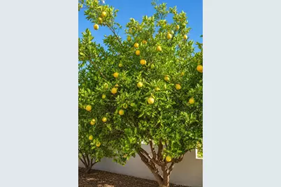  12834 Rockwell, Poway, CA 92064 - Photo 31