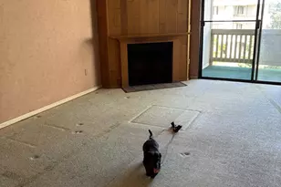 3098 Rue D’Orleans, San Diego, CA 92110 - Photo 3