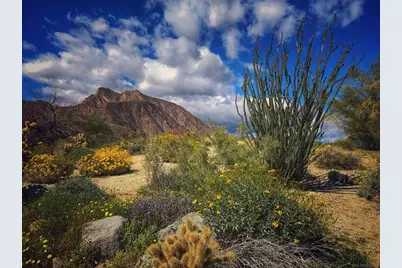  0 Palm Canyon Dr., Borrego Springs, CA 92004 - Photo 1