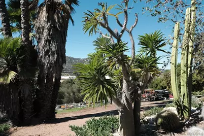  26327 N Broadway, Escondido, CA 92026 - Photo 31