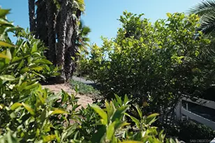 26327 N Broadway, Escondido, CA 92026 - Photo 33