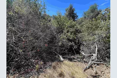  0 Whispering Pines Drive #186, Julian, CA 92036 - Photo 19