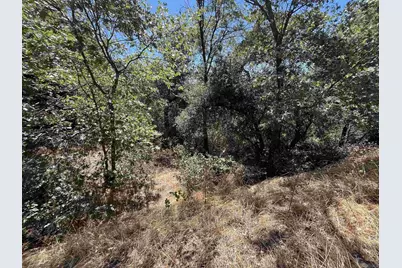  0 Whispering Pines Drive #186, Julian, CA 92036 - Photo 3