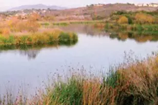 2822 Winthrop Ave, Carlsbad, CA 92010 - Photo 39