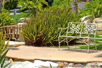  12695 Camino Mira Del Mar #118, San Diego, CA 92130 - Photo 5