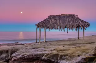 466 Westbourne St, La Jolla, CA 92037 - Photo 15