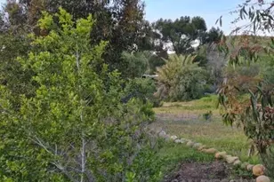 8209 Mesa, Santee, CA 92071 - Photo 51