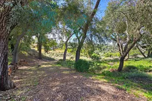 1282 Olive Ave, Fallbrook, CA 92028 - Photo 41