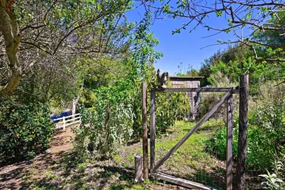  1282 Olive Ave, Fallbrook, CA 92028 - Photo 39