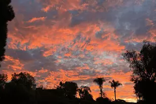 1282 Olive Ave, Fallbrook, CA 92028 - Photo 53