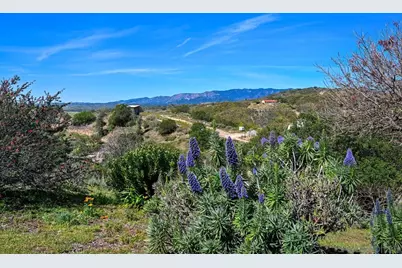  1282 Olive Ave, Fallbrook, CA 92028 - Photo 3