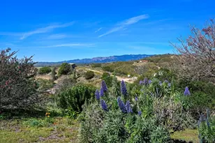 1282 Olive Ave, Fallbrook, CA 92028 - Photo 3