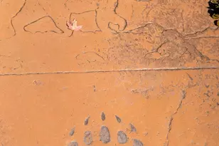 241 Orion Way, Big Bear Lake, CA 92315 - Photo 5