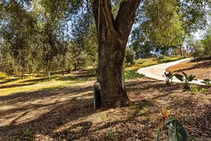 28808 Mountain Meadow, Escondido, CA 92026 - Photo 63