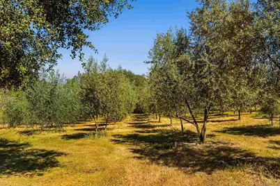  28808 Mountain Meadow, Escondido, CA 92026 - Photo 55