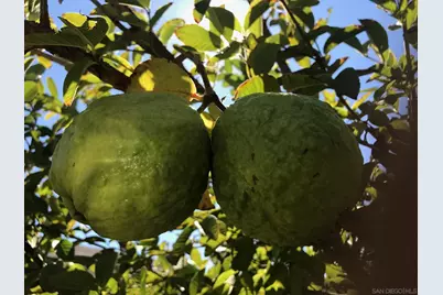  14302 Sandown, Poway, CA 92064 - Photo 65