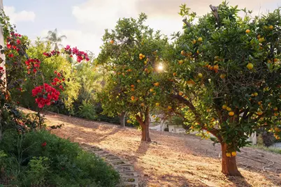  18136 Via Ascenso, Rancho Santa Fe, CA 92067 - Photo 31