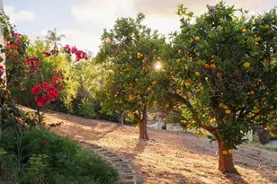 18136 Via Ascenso, Rancho Santa Fe, CA 92067 - Photo 31