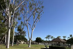 11124 Poblado, San Diego, CA 92127 - Photo 25