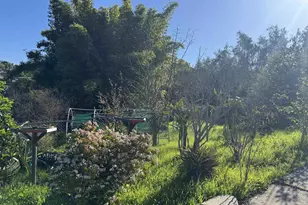 9317 Lamar St, Spring Valley, CA 91977 - Photo 3