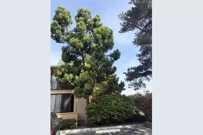  4296 5th Ave, Rancho San Diego, CA 92103 - Photo 7