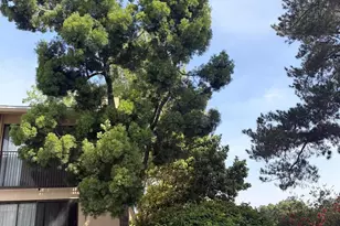 4296 Fifth Ave, Rancho San Diego, CA 92103 - Photo 7