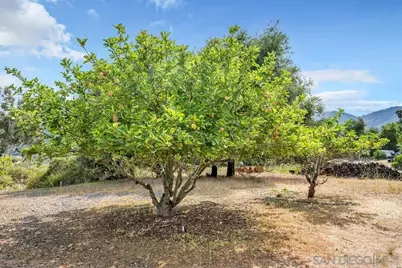  3453 Via Loma Vista, Escondido, CA 92029 - Photo 21