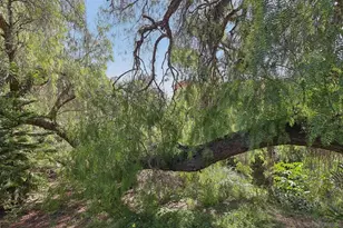 4615 Pico, San Diego, CA 92109 - Photo 27