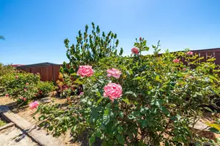 2143 Flint, Escondido, CA 92027 - Photo 47